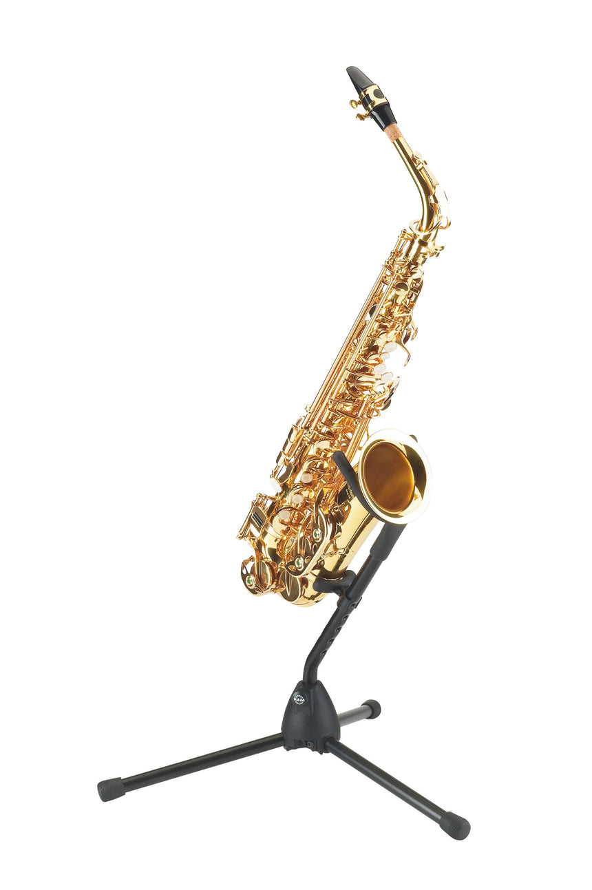 Roy Benson AS-302 Altsaxophon-Bundle mit Ständer, Pflegeset & Bissplatten