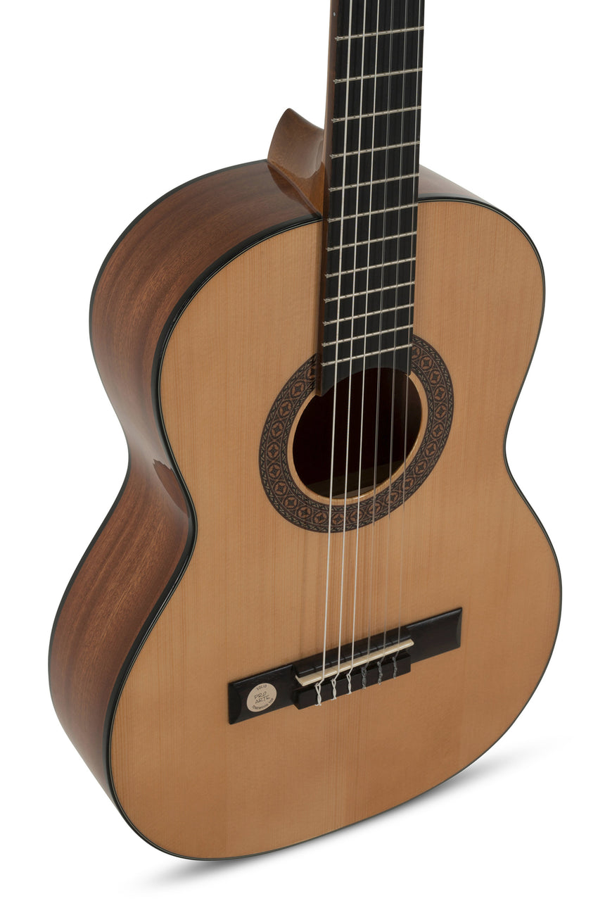 GEWA Klassikgitarre Pro Arte GC 75A B-Ware - Musik-Ebert Gmbh