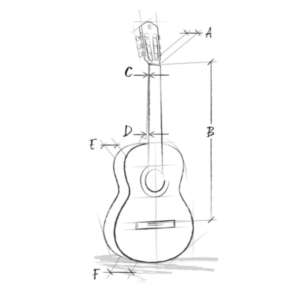 Alhambra 3C Konzertgitarre 4/4 mit Tasche - Musik-Ebert Gmbh