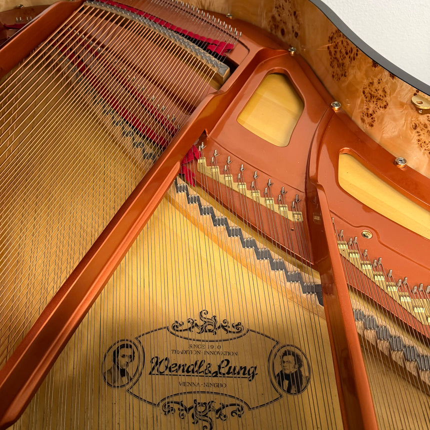 Wendl & Lung Flügel 178 Professional schwarz poliert Occasion Bj. 2008, sehr guter Zustand (gebraucht) - Musik-Ebert Gmbh