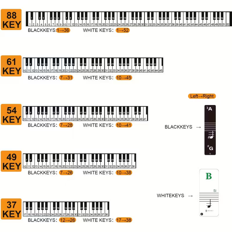Autocollants de base pour clavier de piano pour débutants