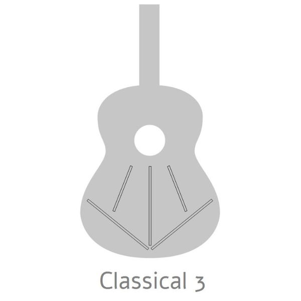 Alhambra 2C Konzertgitarre 4/4 mit Tasche - Musik-Ebert Gmbh