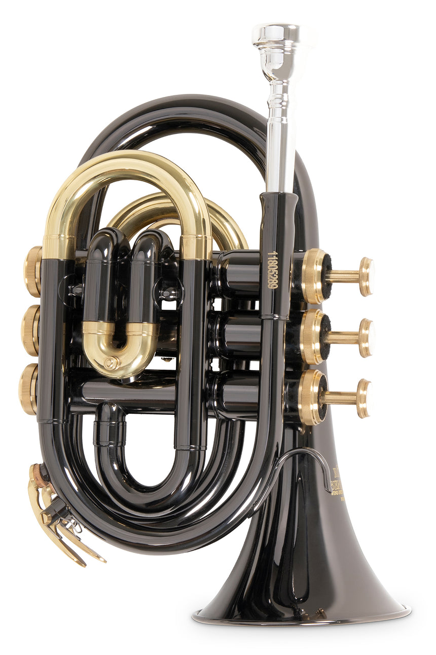 Roy Benson PT-101K, anthrazit – aufrechte Vorderansicht