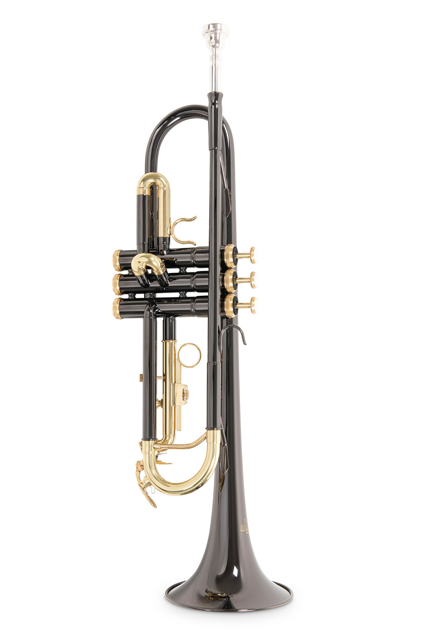 Roy Benson TR-101K, anthrazit – aufrechte Vorderansicht