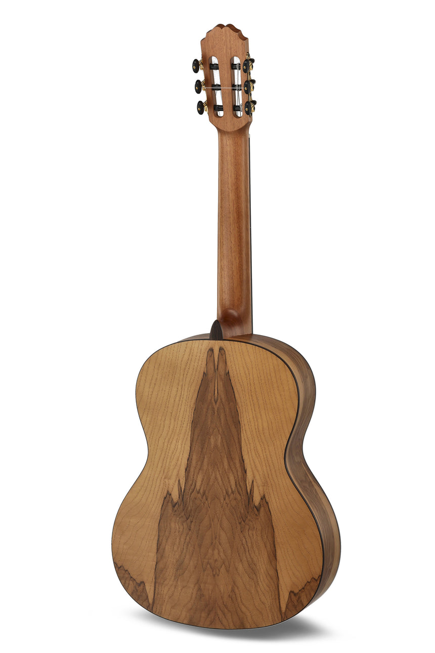Caballero by MR Principio Serie P CA-PMO 120 Konzertgitarre 4/4 – Sondermodell 120 Jahre MR, Olive, massive Fichtendecke