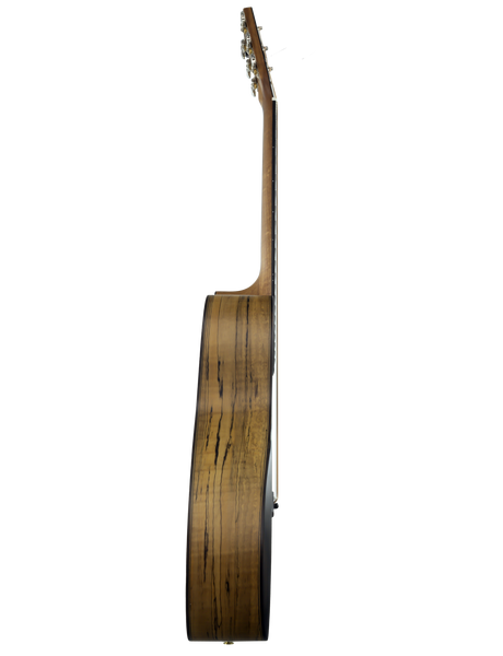 Shape Akustikgitarre Orchestra Modell 588S-MT-CEB - Musik-Ebert Gmbh