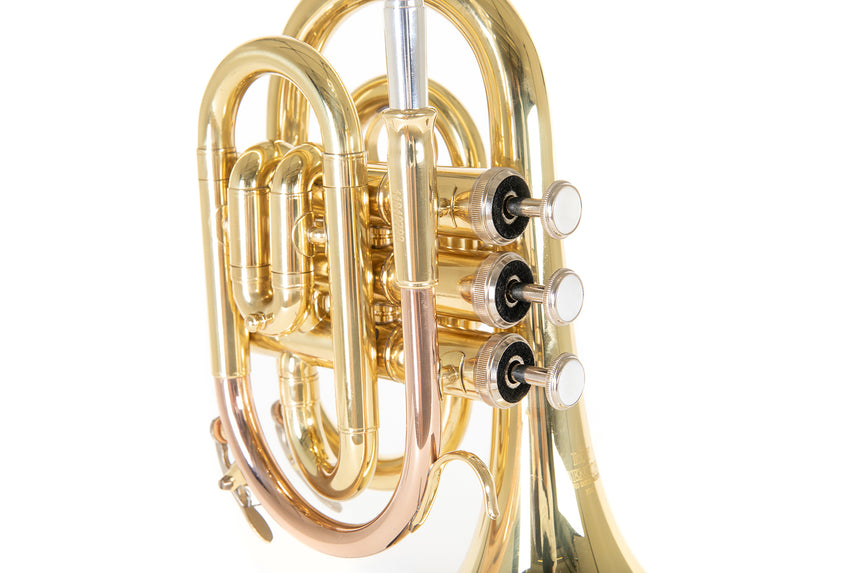 Roy Benson PT-101, laiton verni transparent – gros plan des pistons