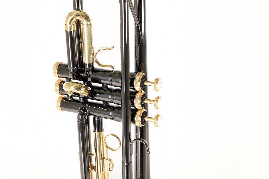 Roy Benson TR-101K, anthrazit – Detail des Mundrohrs