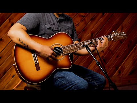 ORTEGA Performer Series Konzertgitarre Cutaway - Preamp + Tasche