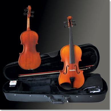 Sandner Dynasty Violin-Garnitur 302 1/8 - Musik-Ebert Gmbh