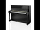 W.Hoffmann Upright Model V-120 Vision